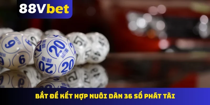 Bắt đề kết hợp nuôi dàn 36 số phát tài