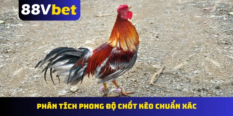 Phân tích phong độ chốt kèo chuẩn xác