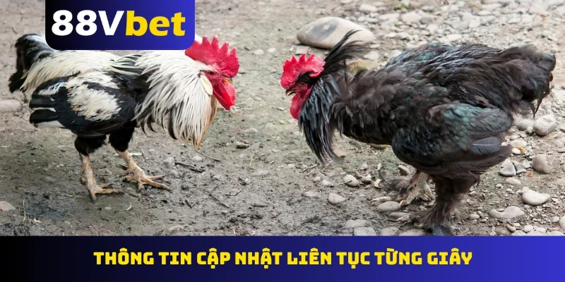 Thông tin cập nhật liên tục từng giây